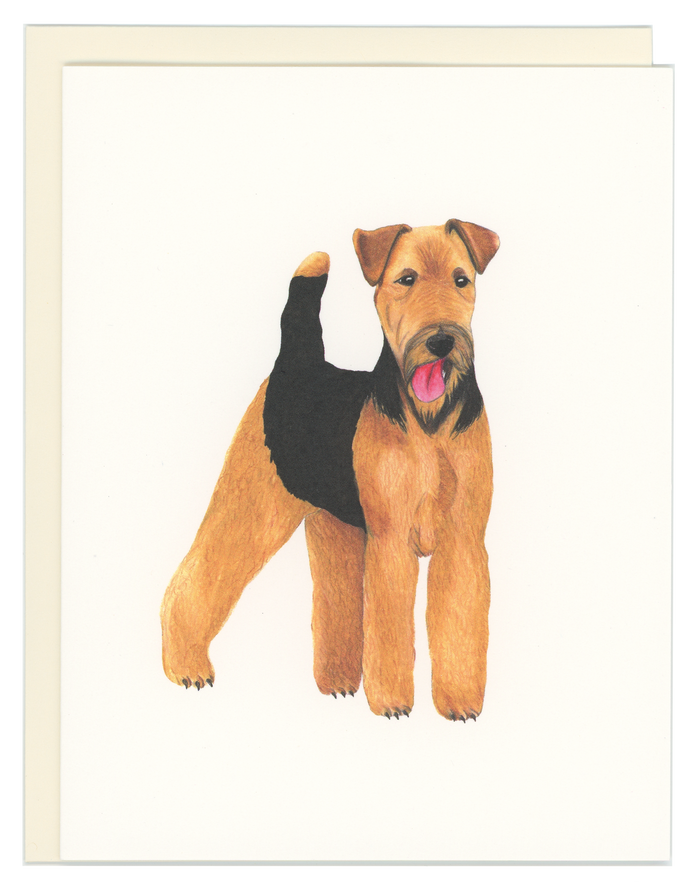 Airedale Terrier