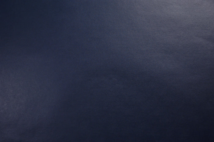 Bible Endsheet - Navy Semi-Gloss