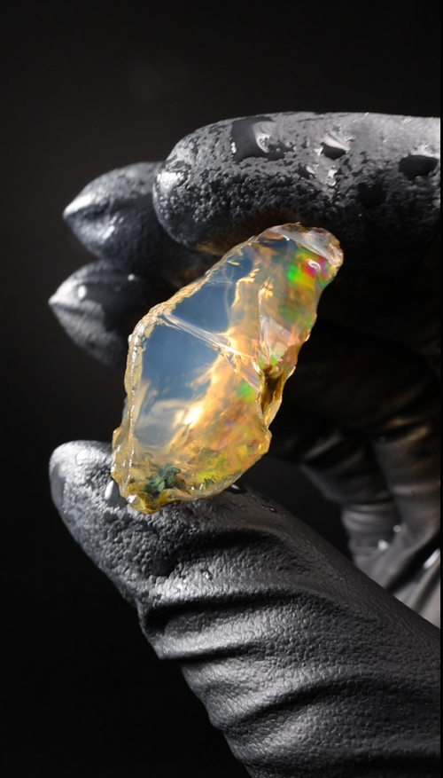 12.98g Rough Ethiopian Welo Specimen Opal