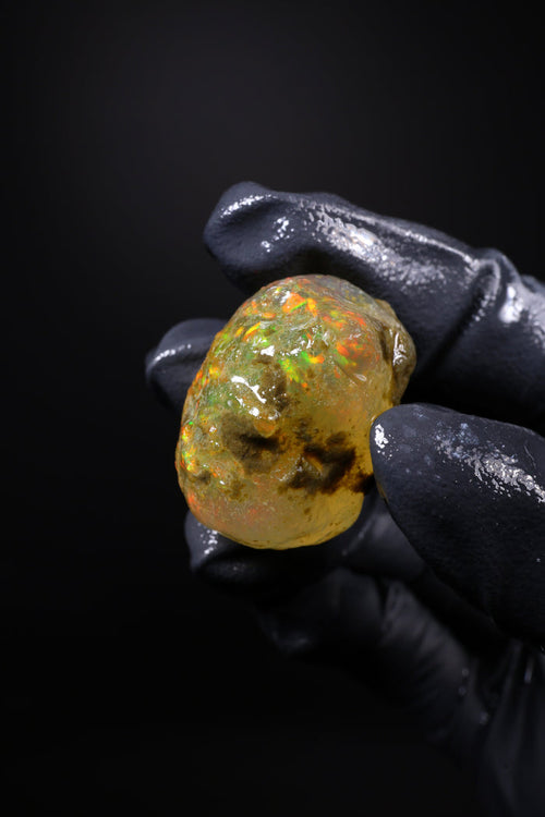 14.02g Rough Ethiopian Welo Specimen Opal