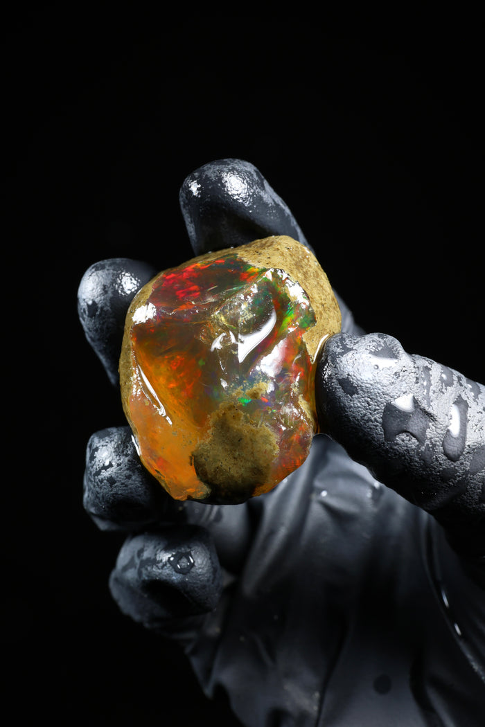 21.57g Rough Ethiopian Welo Specimen Opal