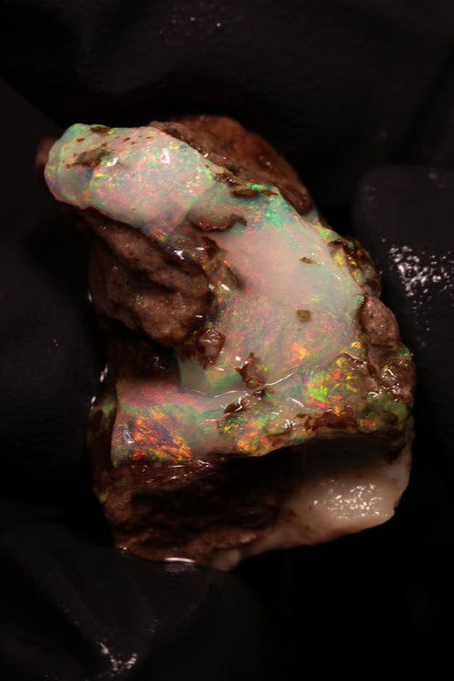 4.61g Rough Ethiopian Chalk Opal