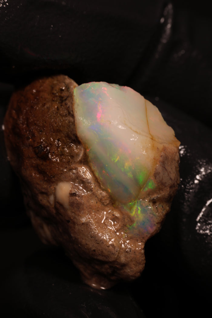 4.95g Rough Ethiopian Chalk Opal