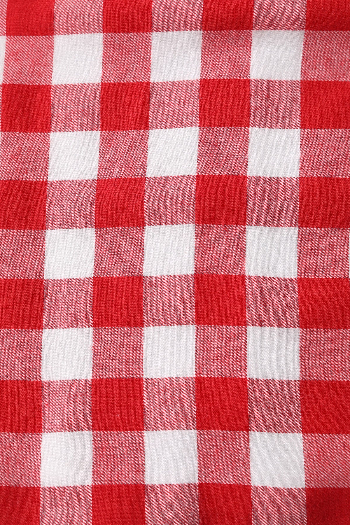 Amanda Retro Red Gingham Fit and Flared Dress