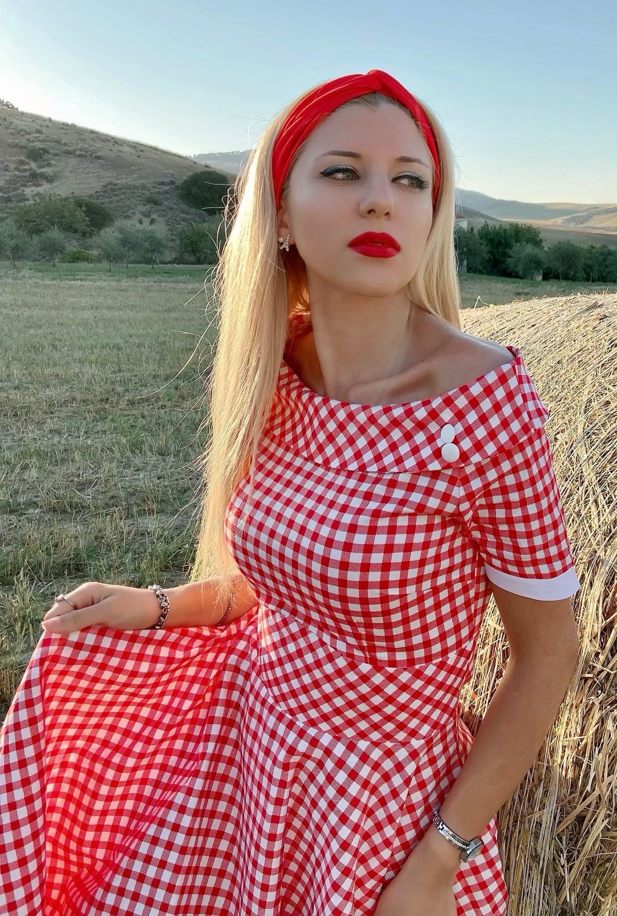 Darlene Retro Red Gingham Swing Dress