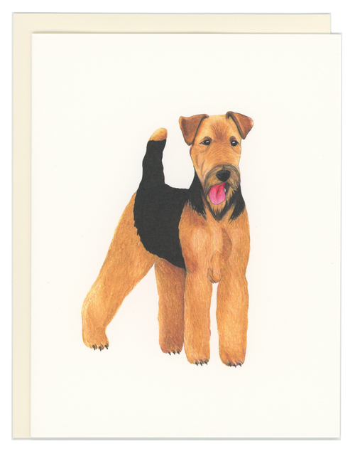 Airedale Terrier