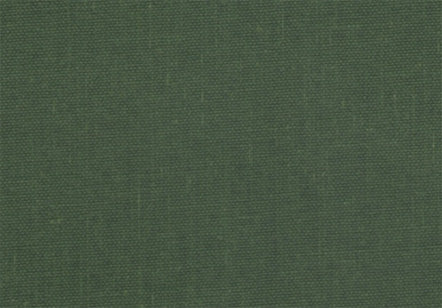 Allure Bookcloth Fern