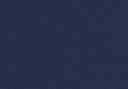 Allure Bookcloth Indigo