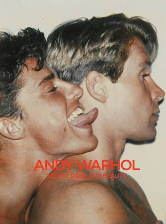 Andy Warhol Book