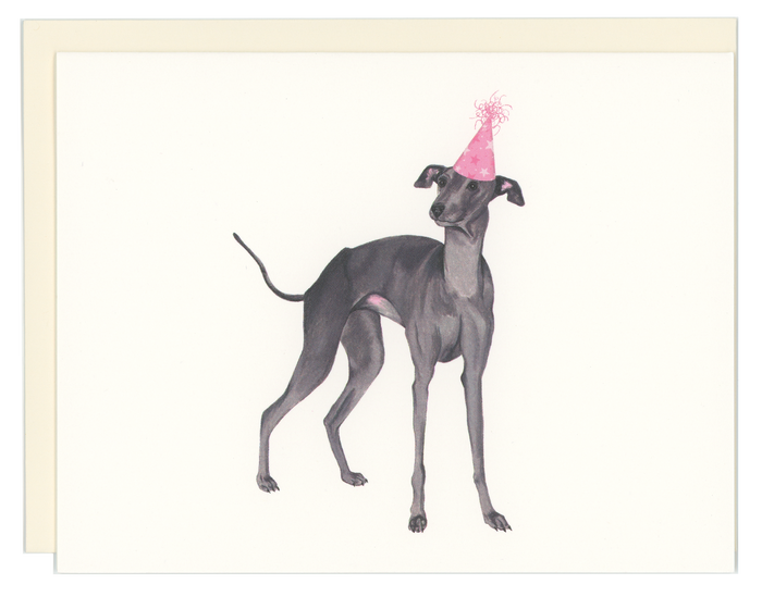 Birthday Greyhound