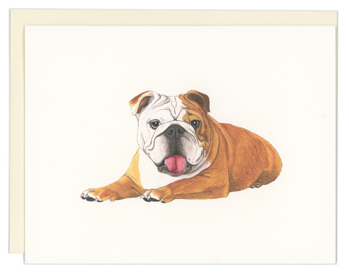 Bulldog
