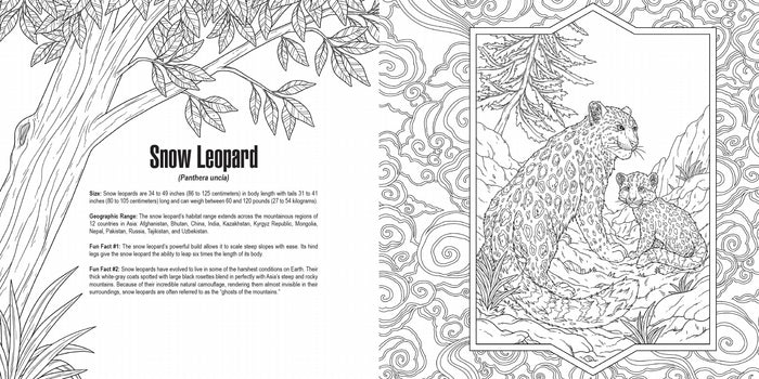 Cats: A Smithsonian Coloring Book