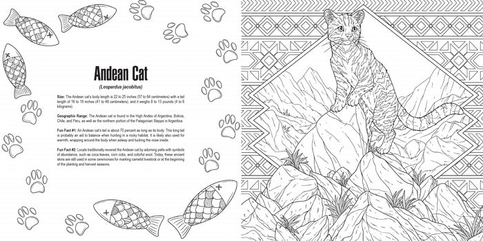 Cats: A Smithsonian Coloring Book