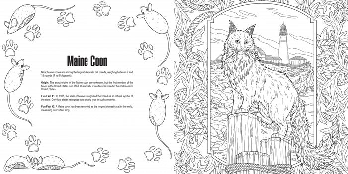 Cats: A Smithsonian Coloring Book