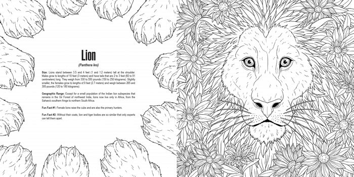 Cats: A Smithsonian Coloring Book