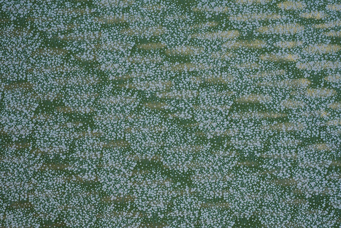 Chiyogami White Wild Flowers on Green Field - NEW