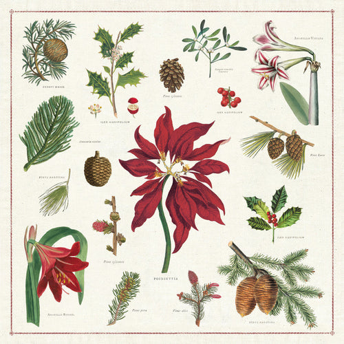 A set of 4 Christmas-themed cloth napkins with a printed floral and botanical pattern, including images of flowers, pine cones, and leaves, packed in a hand-sewn muslin bag.