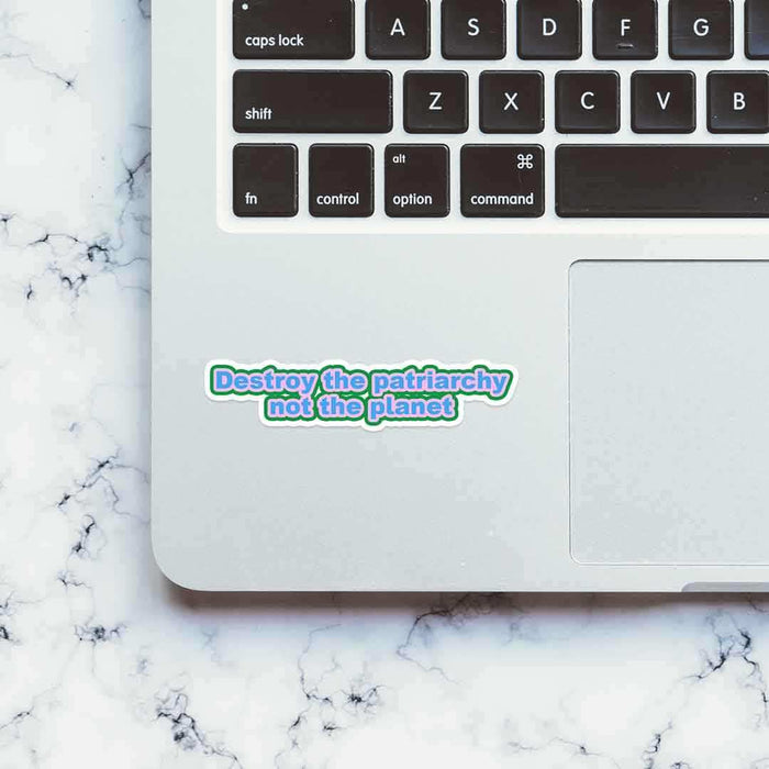 Destroy the Patriarchy not the planet sticker - Stickers | STICK IT UP