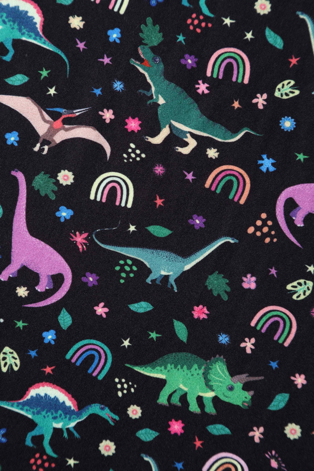 Billie Dinosaur & Rainbow Long Sleeved Dress
