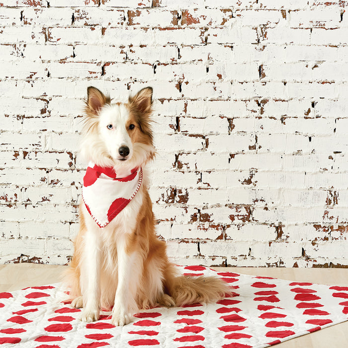 A dot pet quilt displayed on a made bed.