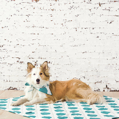 A dot pet quilt displayed on a made bed.