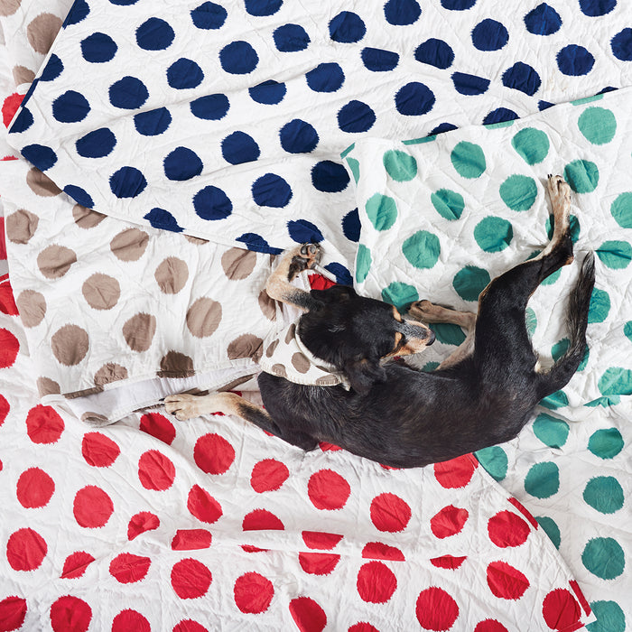 A dot pet quilt displayed on a made bed.
