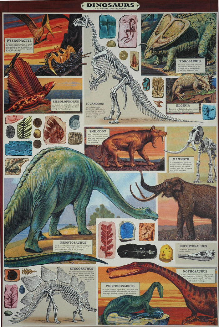 Florentine Print Dinosaurs