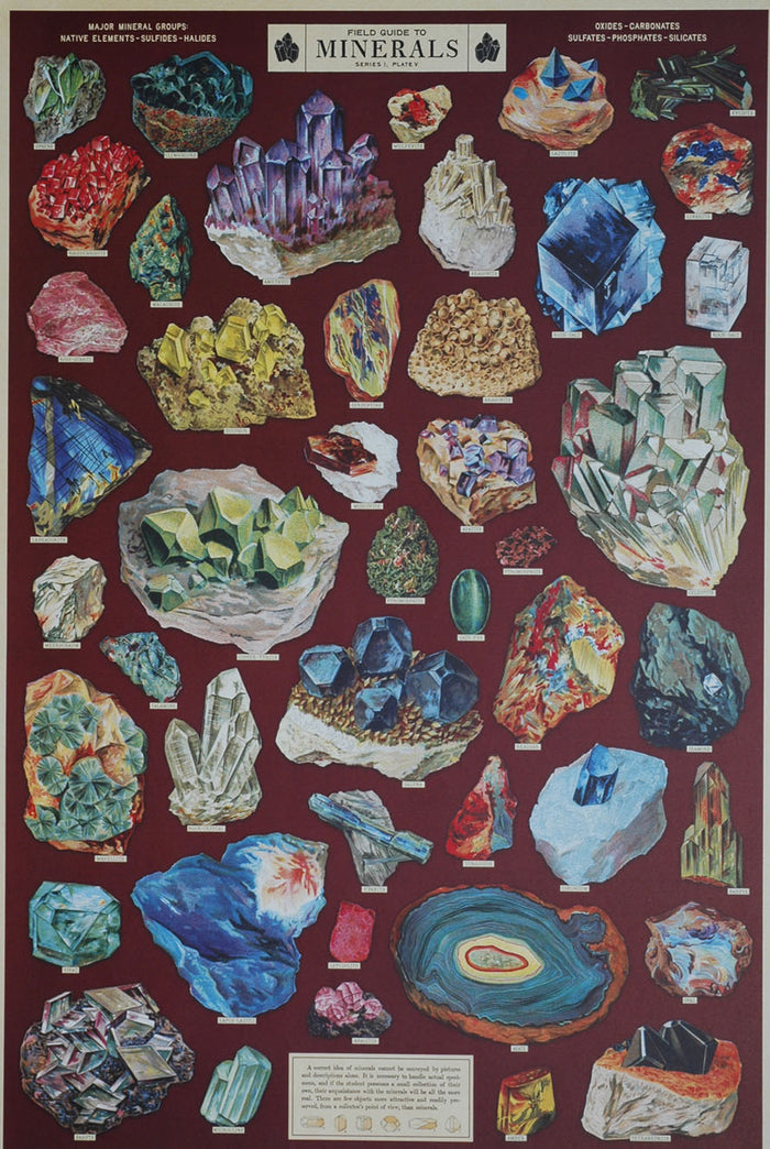 Florentine Print Field Guide to Minerals -- NEW