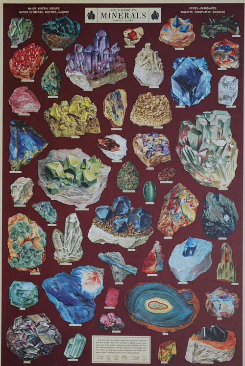 Florentine Print Field Guide to Minerals -- NEW