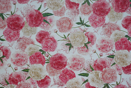 Florentine Print Peonies -- NEW