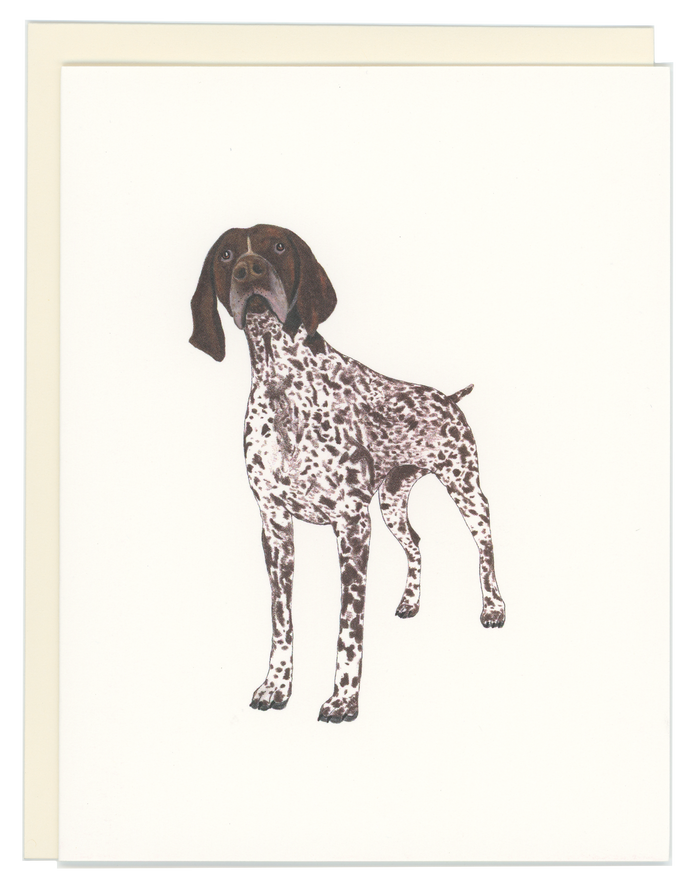 German Shorthaired Pointer