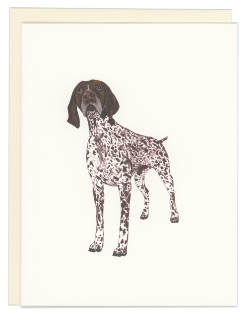 German Shorthaired Pointer
