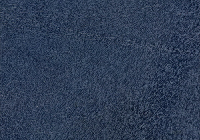 Harmatan Goat Leather Light Navy Split #11