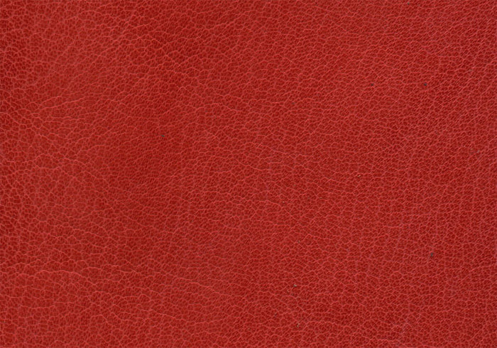 Harmatan Goat Leather Scarlet Split #20