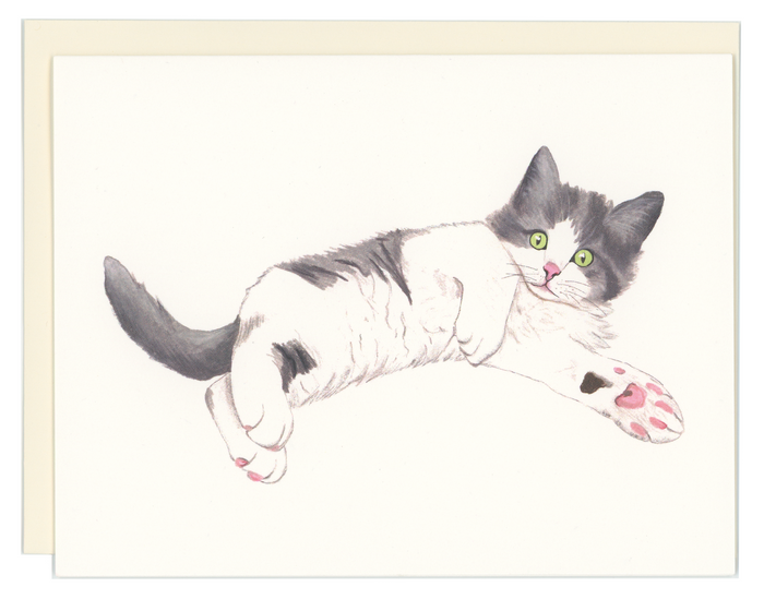Kitten