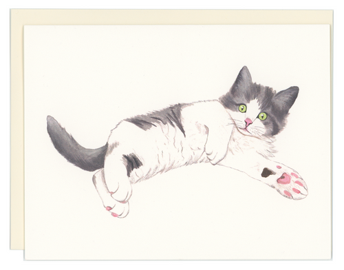 Kitten