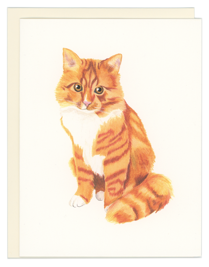 Orange Tabby Cat