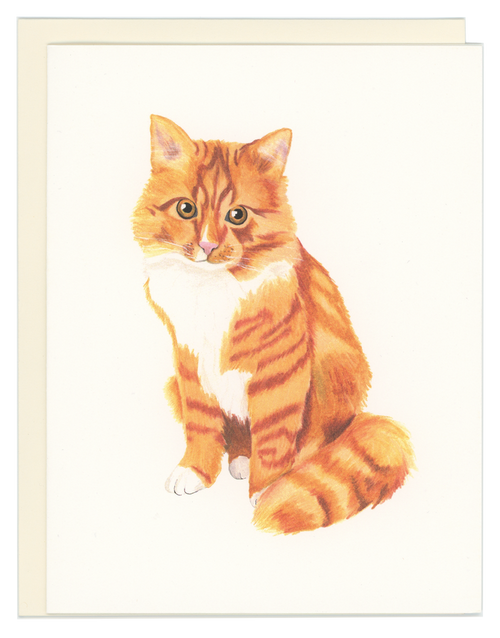 Orange Tabby Cat