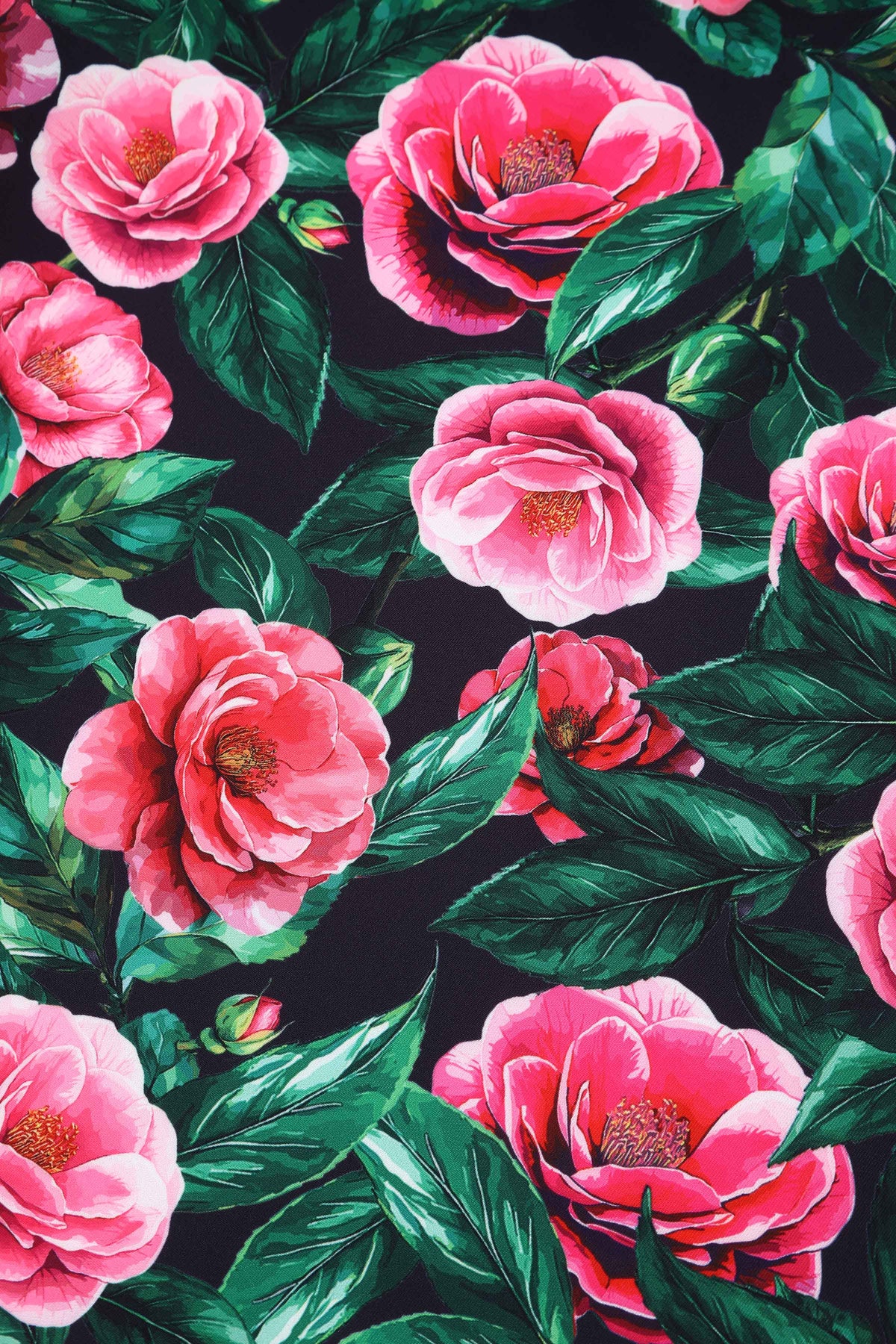 Lily Pink Camellia Off Shoulder Dress In Black