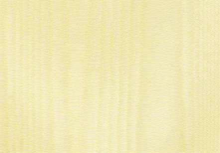 Silk Moire Champagne